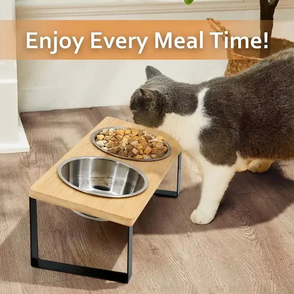 Elevated Tilted Cat Food Bowls