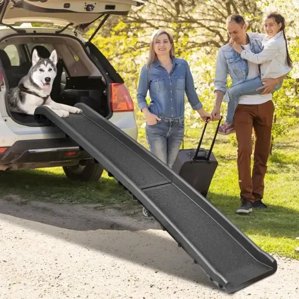 Raised Rail Dog Loading Ramp