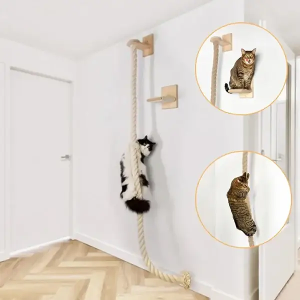 Interactive Indoor Cat Climbing Tree