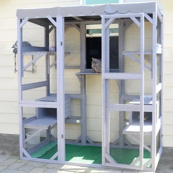 Extra Large Walk-In Outdoor Cat Enclosure