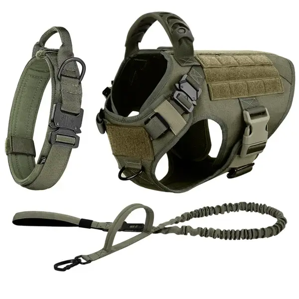 Large Dog Harness Leash Set