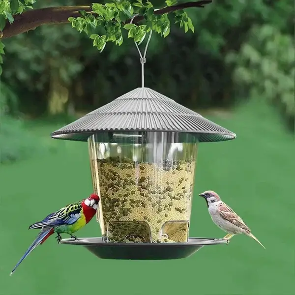 Hanging Garden Gazebo Bird Feeder