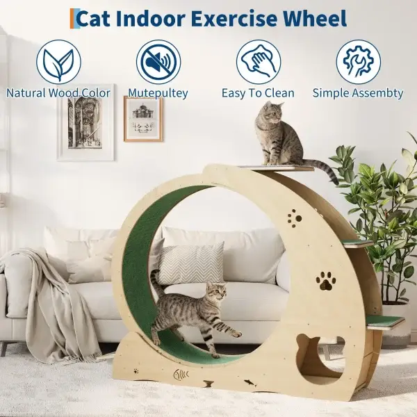 6-in-1 Multifunctional Quiet Cat Exercise Wheel